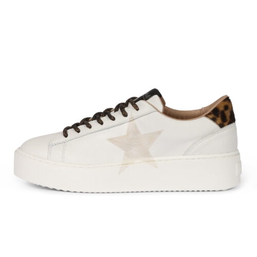 NIRA RUBENS COSMOPOLITAN STELLA (DONNA)